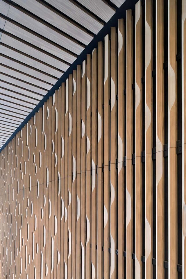 Matude Laudescher Linea 3D Edge Instituut Jules Bordet 01